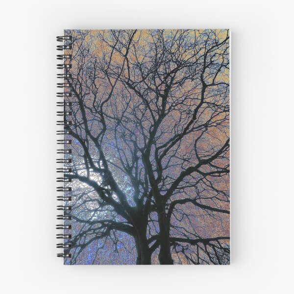 Item preview, Winter beech, Bridlington, coloured sky edit designed and sold by paulboizot.
