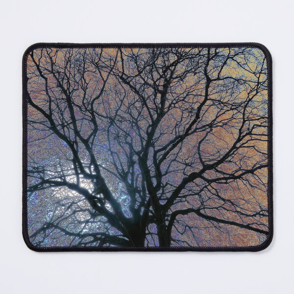 Item preview, Winter beech, Bridlington, coloured sky edit designed and sold by paulboizot.