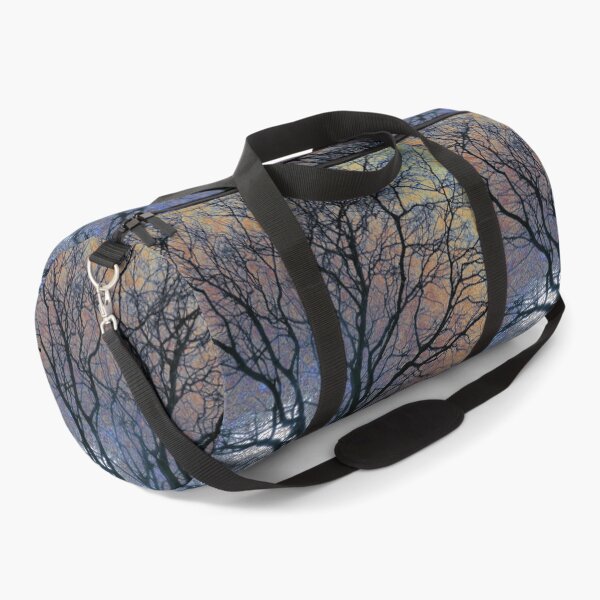 Item preview, Winter beech, Bridlington, coloured sky edit designed and sold by paulboizot.