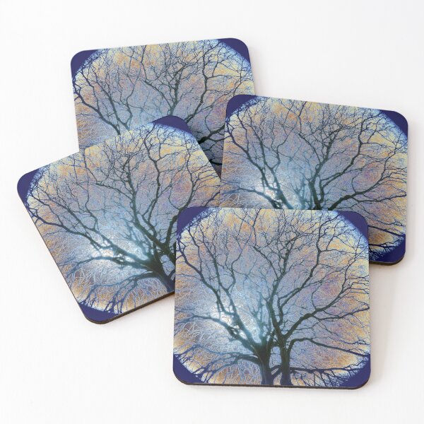 Item preview, Winter beech, Bridlington, vignette coloured sky edit designed and sold by paulboizot.