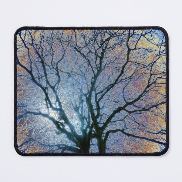 Item preview, Winter beech, Bridlington, vignette coloured sky edit designed and sold by paulboizot.