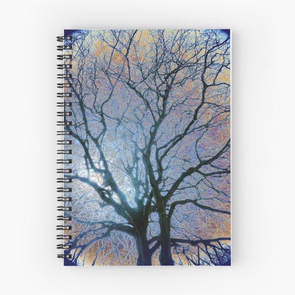 Item preview, Winter beech, Bridlington, vignette coloured sky edit designed and sold by paulboizot.
