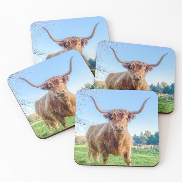 Item preview, Highland Coo designed and sold by Karen  O'Reilly.