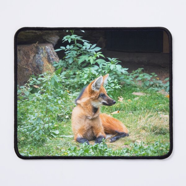 Item preview, Maned Wolf designed and sold by JEZ22.