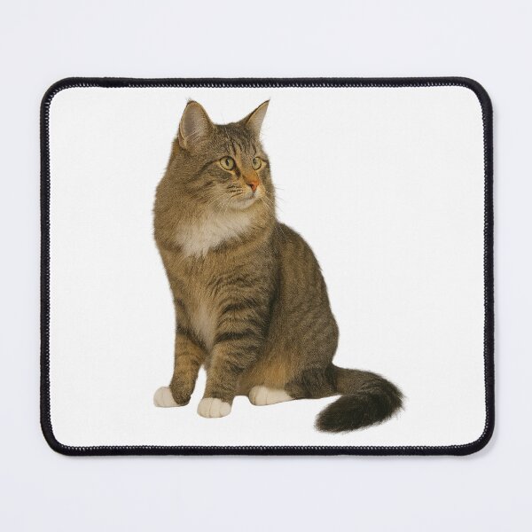 Item preview, Norwegian forest  designed and sold by REDCATWWW.