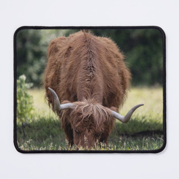 Item preview, Highland Cow designed and sold by MorningStarImg.