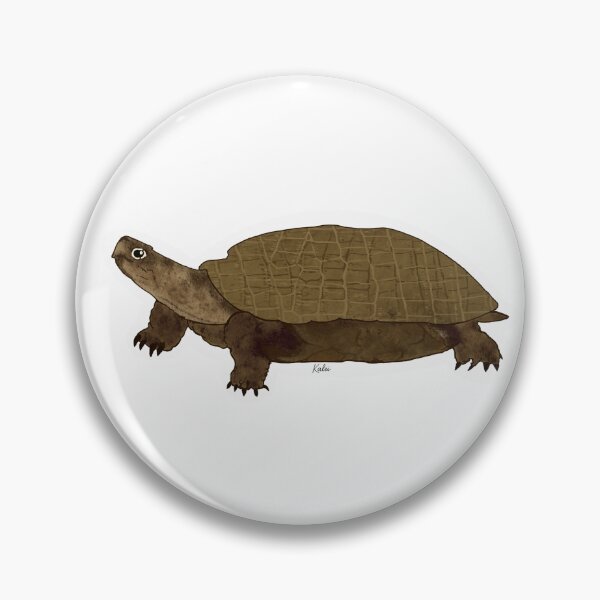 Item preview, Wood Turtle designed and sold by KaleiDesignCo.