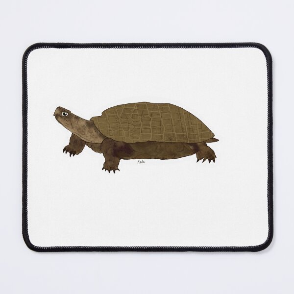 Item preview, Wood Turtle designed and sold by KaleiDesignCo.