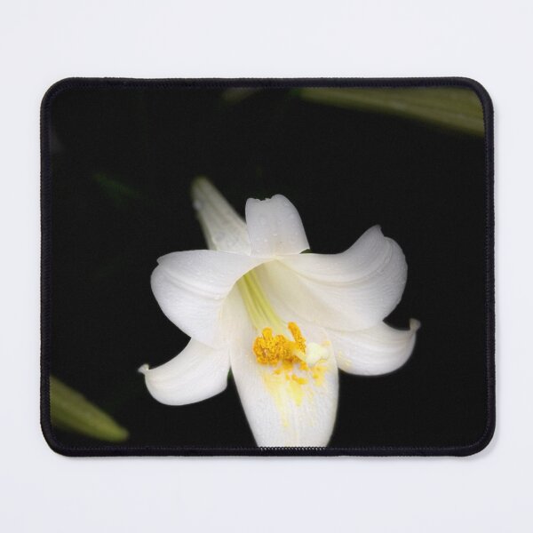 Item preview, White Iris designed and sold by Ronin21dotcom.