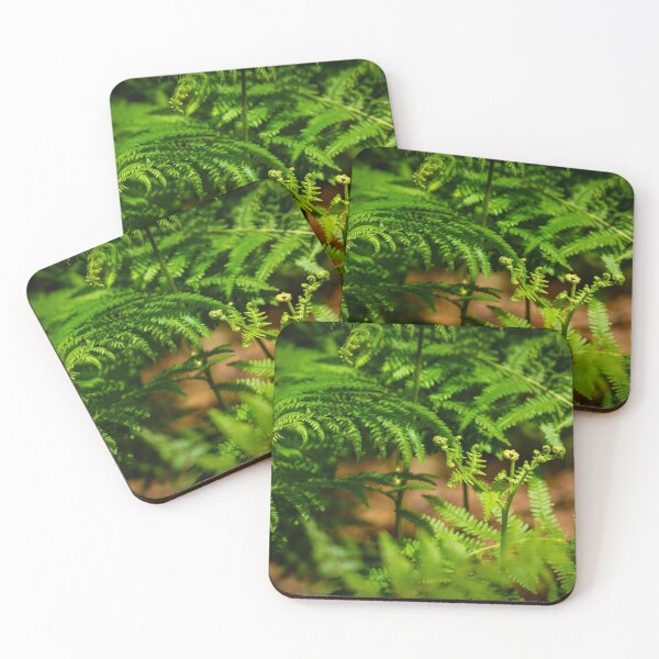 Item preview, Fern frond in sunlit woodland designed and sold by Dalyndigital Photography.