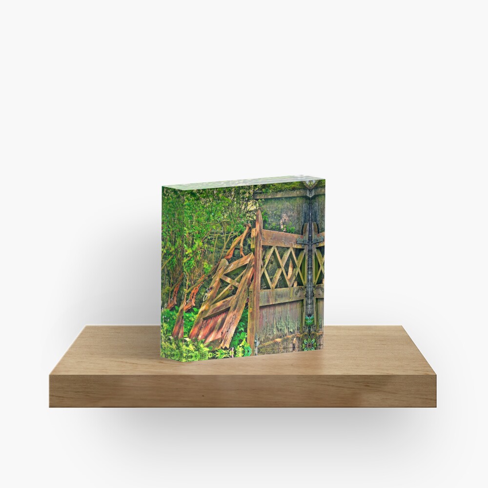 Item preview, Acrylic Block designed and sold by Avalinart.