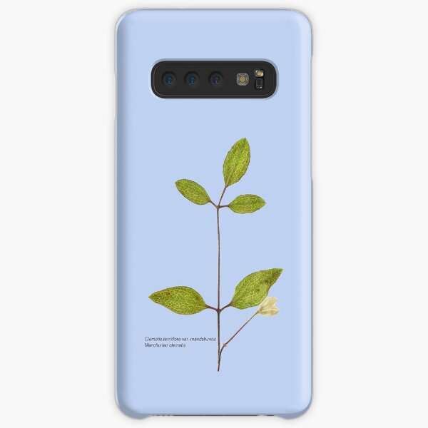 Clematis terniflora var. mandshurica Manchurian clematis Samsung Galaxy Snap Case