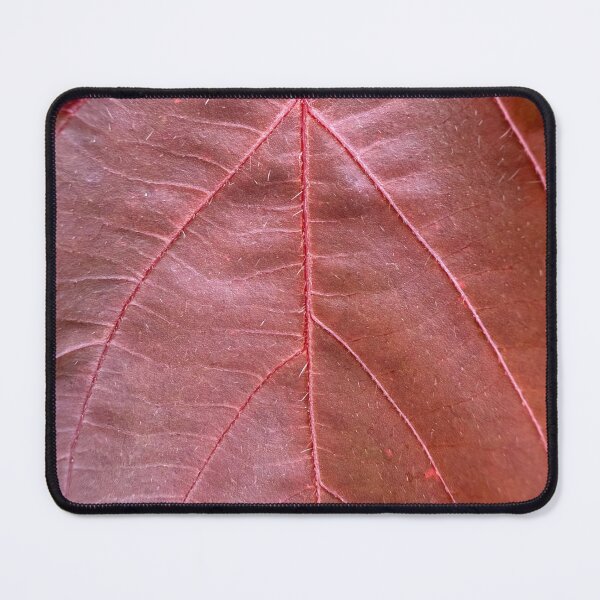 Item preview, Autumn Leaf Red and Cheery designed and sold by HydrangeaDelMar.
