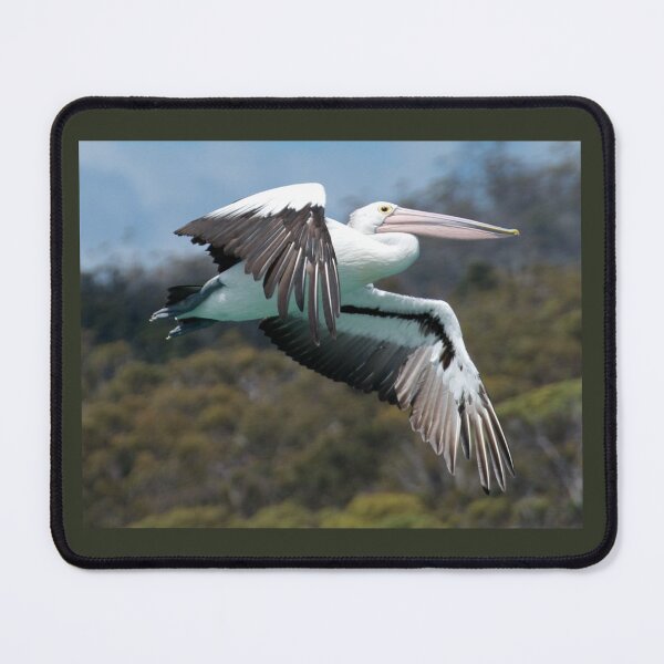 Item preview, MARINE BIRD ~ Australian Pelican VUCB978W by David Irwin ~ WO designed and sold by tasmanianartist.