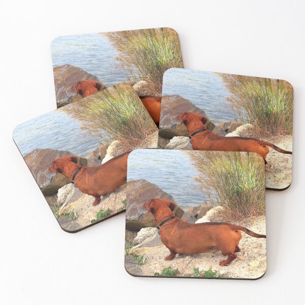 Item preview, Max looking out designed and sold by Dean Wiles.