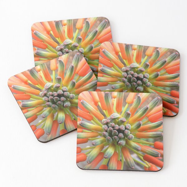 Item preview, An Agave in Peach designed and sold by Larry Davis.