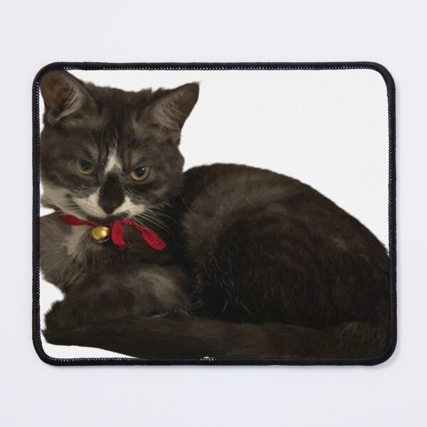 Item preview, cutest bubble in the world designed and sold by georgemichael19.