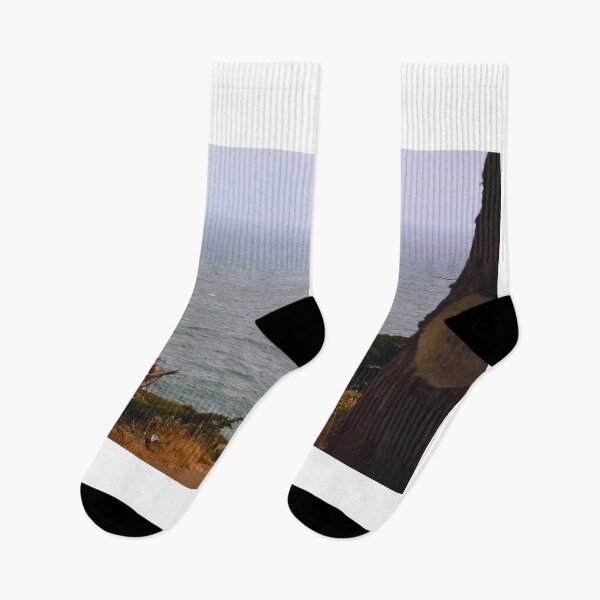Item preview, Beautiful Tranquil Trail  designed and sold by Phakade's Photos.