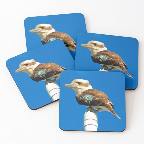 Item preview, KINGFISHER ~ Kookaburra 6KJLkRoi by David Irwin designed and sold by tasmanianartist.