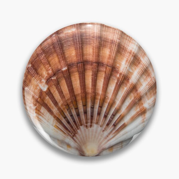 Item preview, Orange Clam Shell  designed and sold by katielynn5.