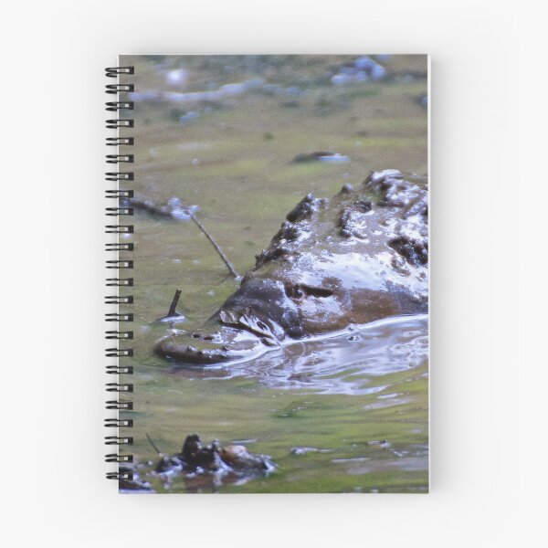 Item preview, PLATYPUS in Mud by tasmanianartist designed and sold by tasmanianartist.