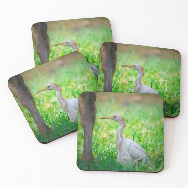 Item preview, Heron Bird in Grass, Elegant Wildlife and Nature Photography designed and sold by Shaheer-WallArt.