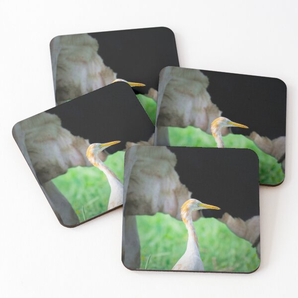 Item preview, Heron Bird in Grass, Elegant Wildlife and Nature Photography designed and sold by Shaheer-WallArt.