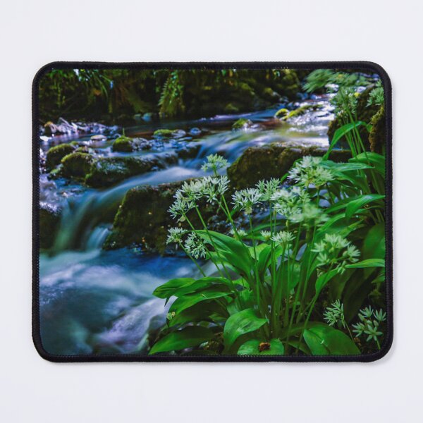 Item preview, Downhill Forest Stream with Wild Garlic – Northern Ireland Nature Photography designed and sold by KMNscapes – Ireland Prints & Beyond.