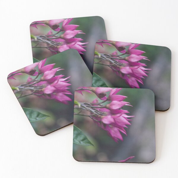 Item preview, Bleeding Heart Vine or Glory Bower designed and sold by ROSE ANN BANILAR.