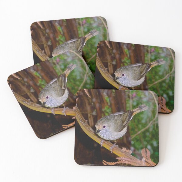 Item preview, THORNBILL ~ Brown Thornbill cn8yoKKj by David Irwin ~ WO designed and sold by tasmanianartist.