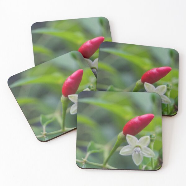 Item preview, Red Chili Pepper designed and sold by ROSE ANN BANILAR.