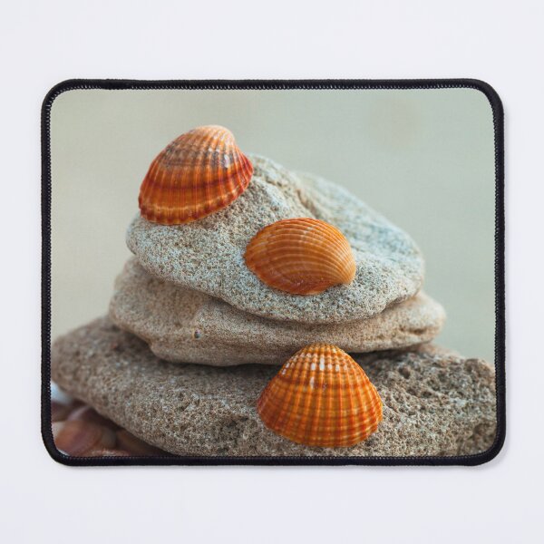 Item preview, Sea Shells on Pebbles designed and sold by assaf.