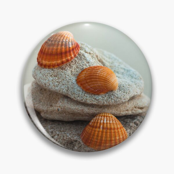 Item preview, Sea Shells on Pebbles designed and sold by assaf.