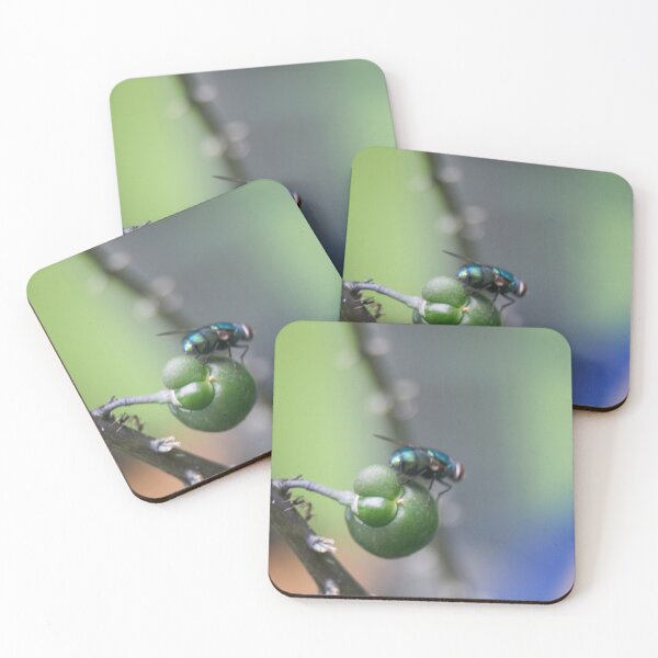 Item preview, Common Green Bottle Fly designed and sold by ROSE ANN BANILAR.