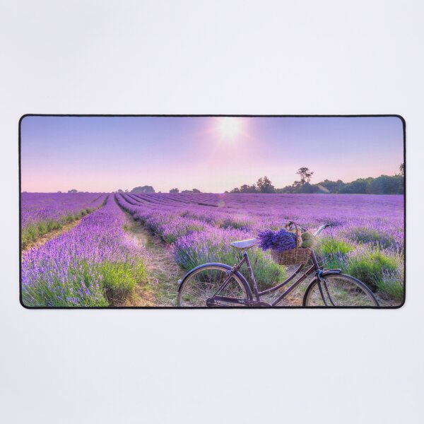 Item preview, Bicycle on Lavender Field designed and sold by assaf.