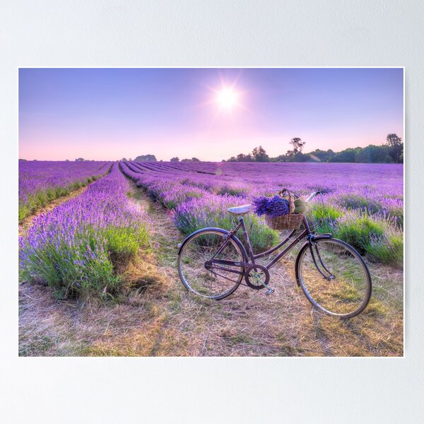 Item preview, Bicycle on Lavender Field designed and sold by assaf.