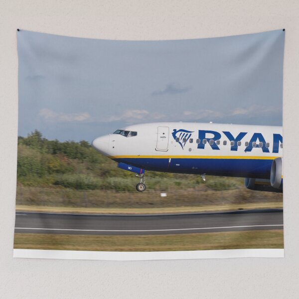 Item preview, Ryanair Boeing 737 EI-IKI MAN to ALC designed and sold by Skyframe Aviation.