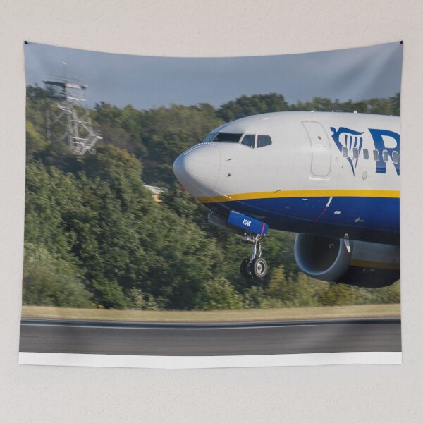 Item preview, Ryanair Boeing 737 EI-IGW MAN to CFU designed and sold by Skyframe Aviation.