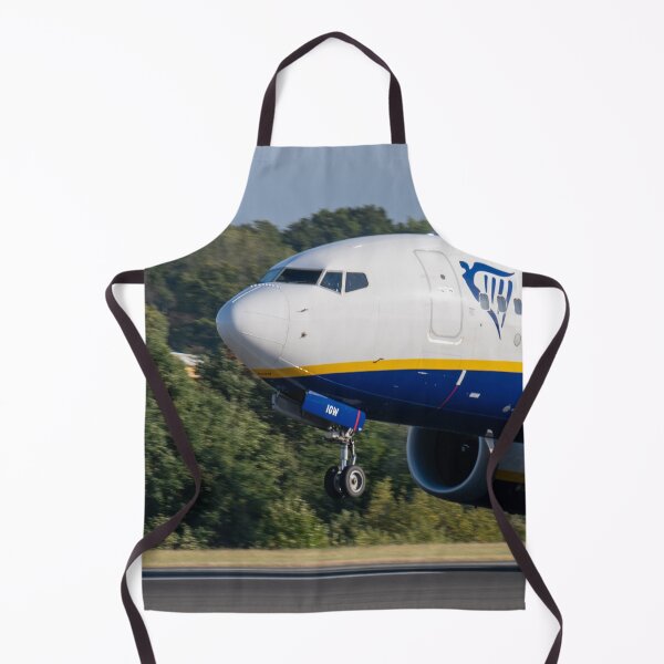 Item preview, Ryanair Boeing 737 EI-IGW MAN to CFU designed and sold by Skyframe Aviation.