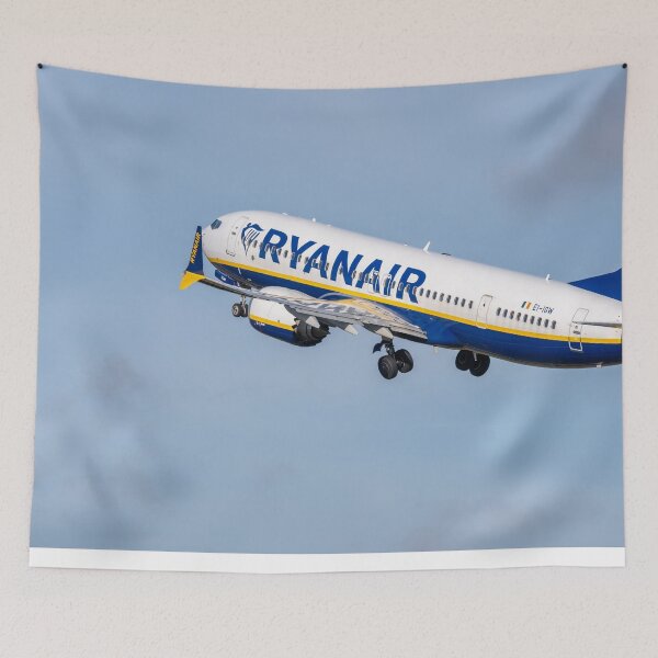 Item preview, Ryanair Boeing 737 EI-IGW MAN to CFU designed and sold by Skyframe Aviation.