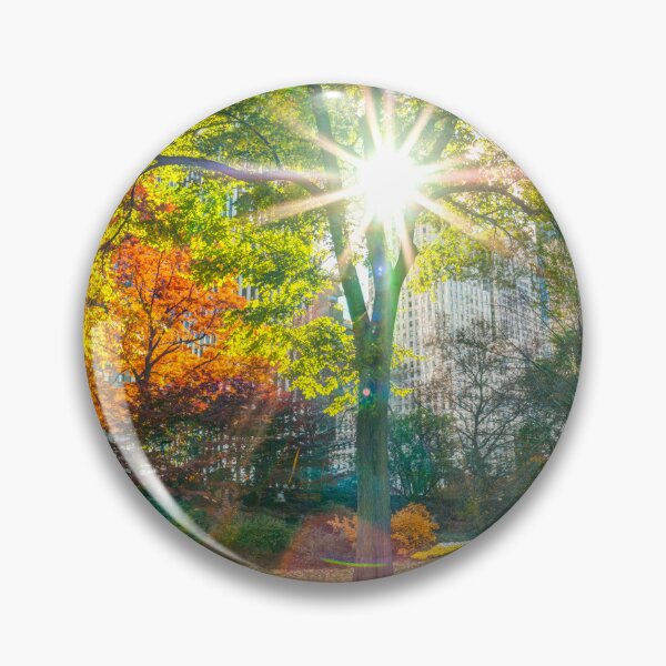 Item preview, Sun Rays Through Trees designed and sold by assaf.