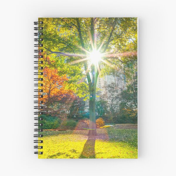 Item preview, Sun Rays Through Trees designed and sold by assaf.