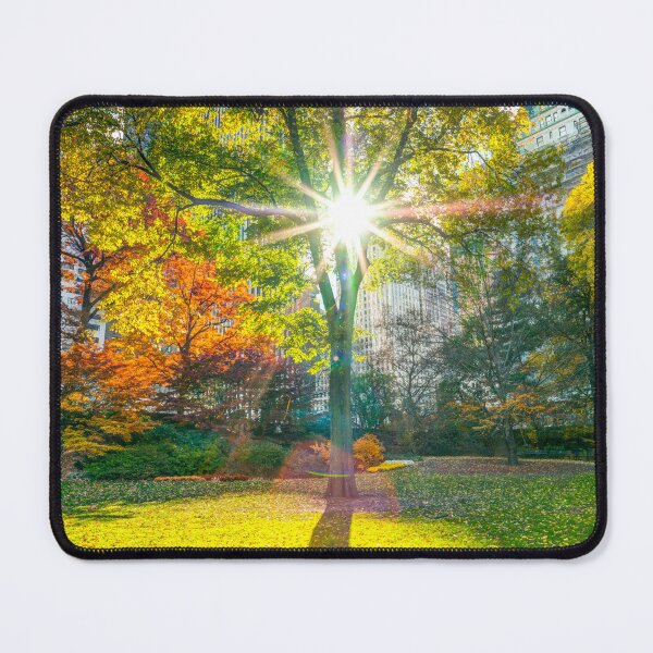 Item preview, Sun Rays Through Trees designed and sold by assaf.