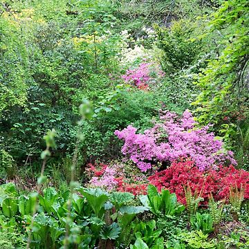 Artwork thumbnail, River of Flowers by Alternative Perspectives