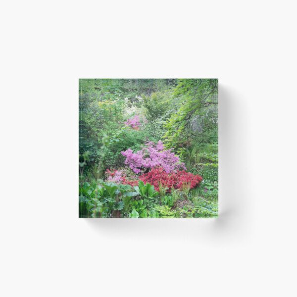 Item preview, River of Flowers designed and sold by Alternative Perspectives.