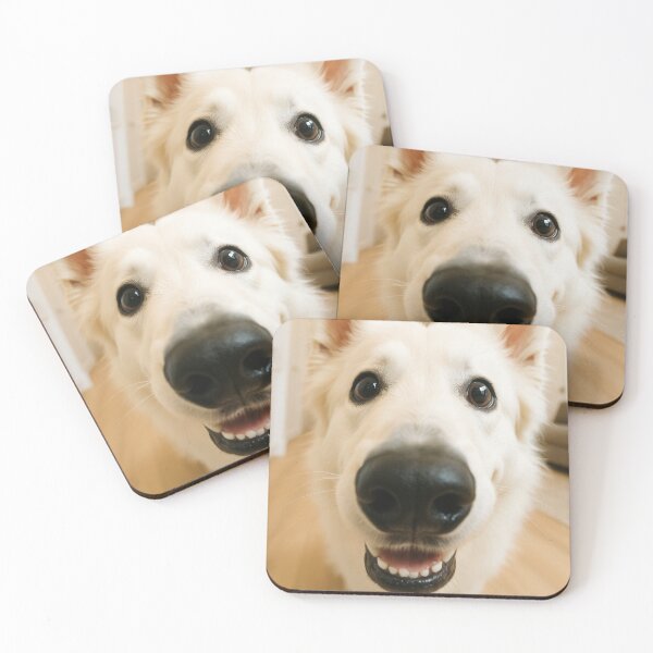 Item preview, Cute Swiss Shepherd Fisheye Dog Portrait designed and sold by Flying Doggo.