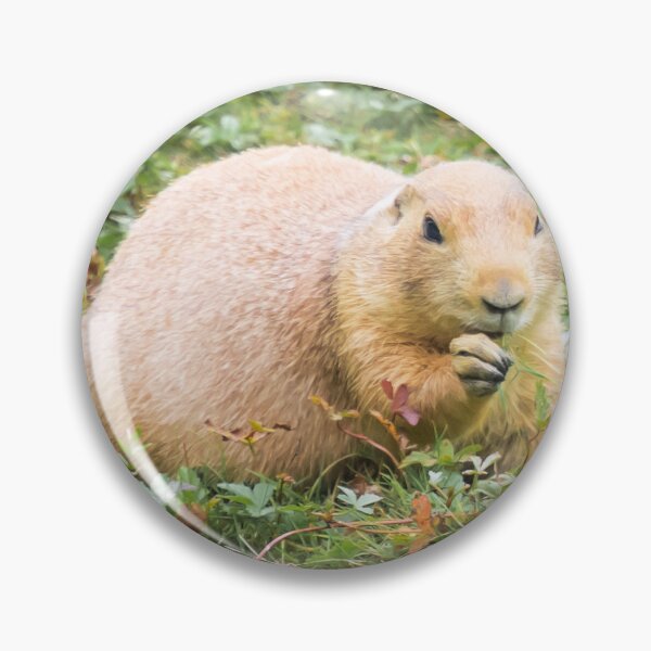Item preview, Marmot designed and sold by JEZ22.