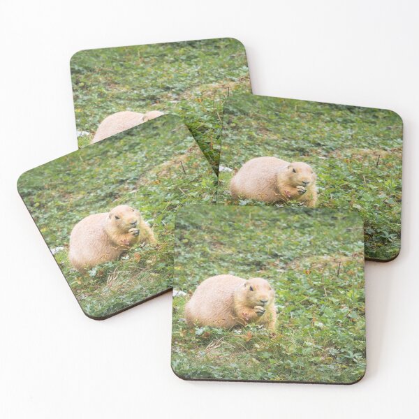 Item preview, Marmot designed and sold by JEZ22.