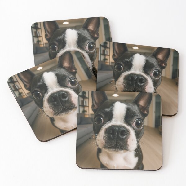 Item preview, Funny Boston Terrier Fisheye Dog Portrait designed and sold by Flying Doggo.