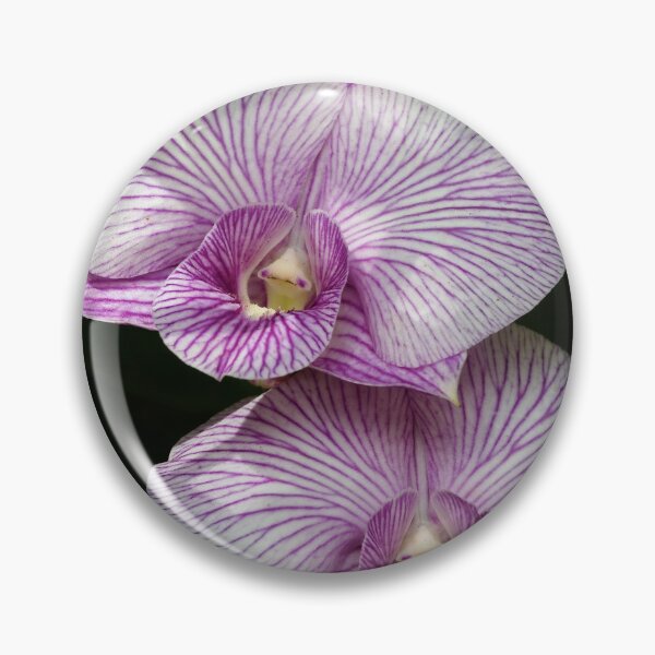Item preview, Floral elegance of orchids with white petals streaked with intense purple designed and sold by franck380.